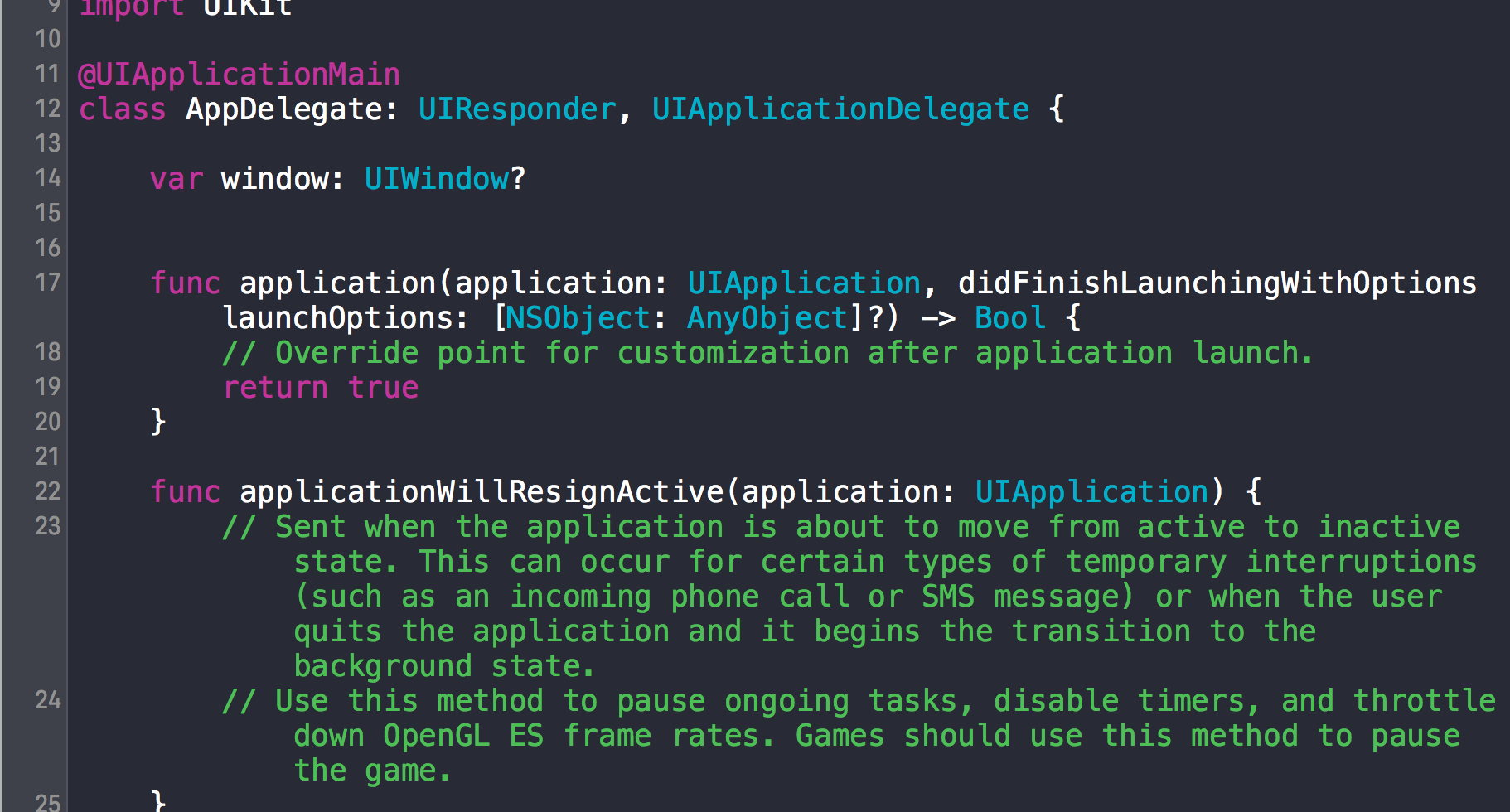 Screencap of a tiny bit of AppDelegate, generated by Xcode